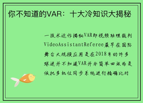 你不知道的VAR：十大冷知识大揭秘